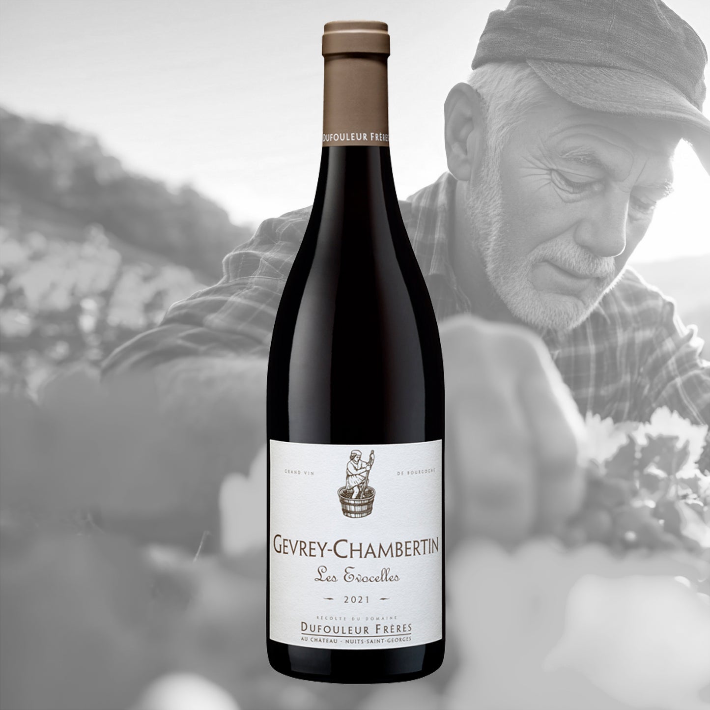 6 x Gevrey-Chambertin Les Evocelles 2021